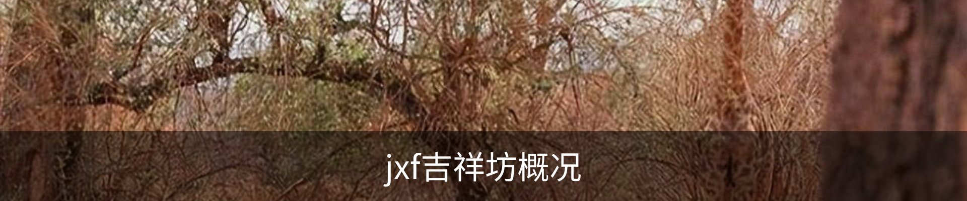 jxf吉祥坊概况